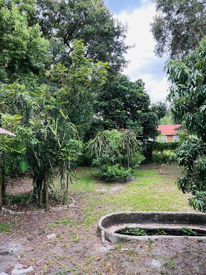 3Bdrm Fruit Tree Home Near Downtown ออร์ลันโด ภายนอก รูปภาพ