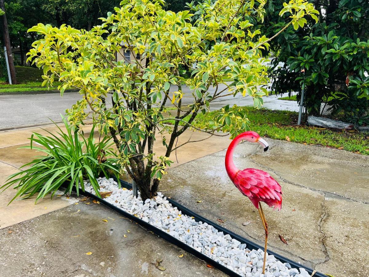 3Bdrm Fruit Tree Home Near Downtown ออร์ลันโด ภายนอก รูปภาพ