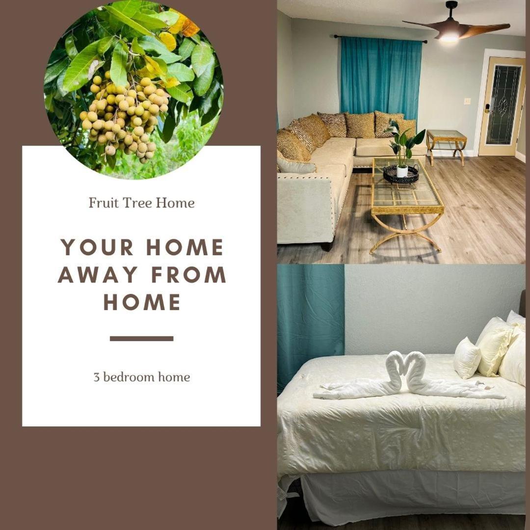 3Bdrm Fruit Tree Home Near Downtown ออร์ลันโด ภายนอก รูปภาพ